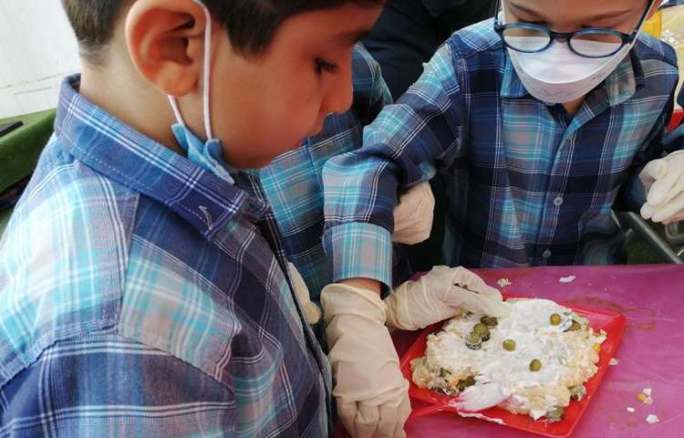 جشنواره غذای سالم دبستان علوی 14