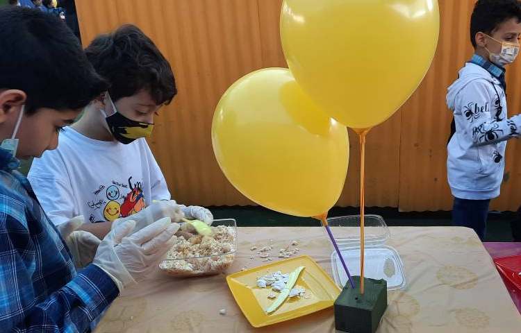 جشنواره غذای سالم پایه اول دبستان 5