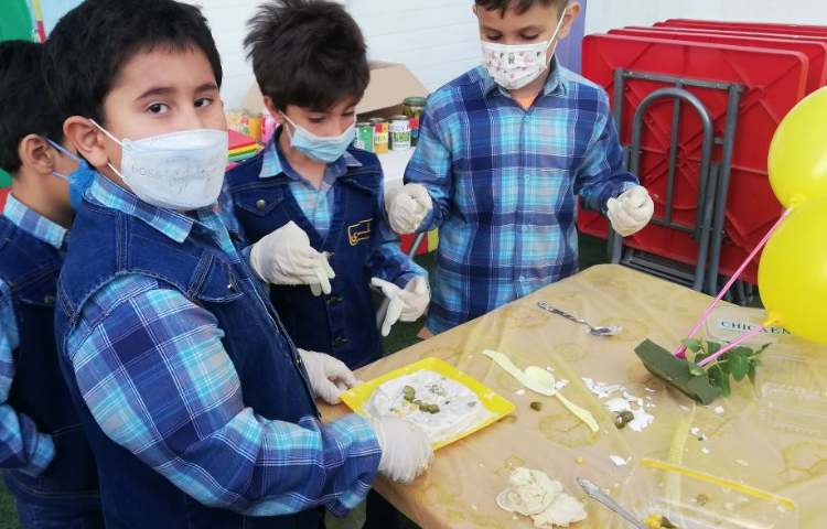 جشنواره غذای سالم پایه دوم 4