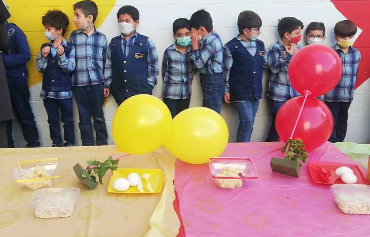 جشنواره غذای سالم پایه دوم 7