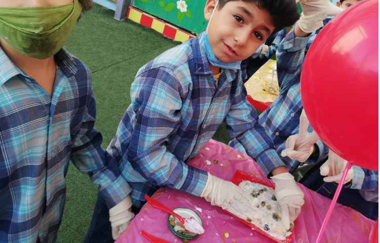 جشنواره غذای سالم پایه دوم 9