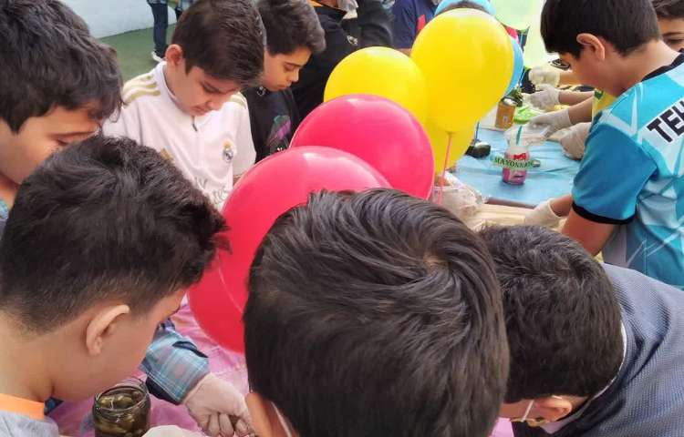 جشنواره غذای سالم پایه ششم 2