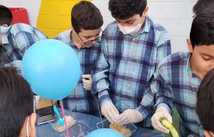 جشنواره غذای سالم پایه ششم 4