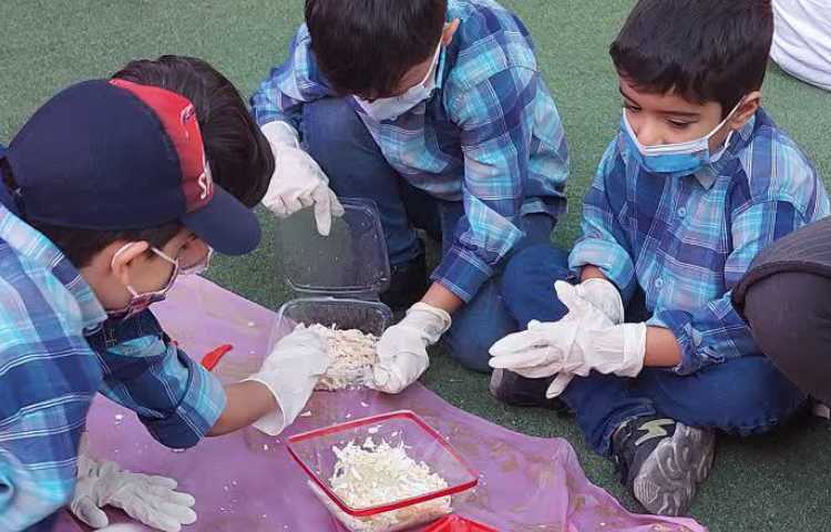 جشنواره غذای سالم پیش دبستان 5