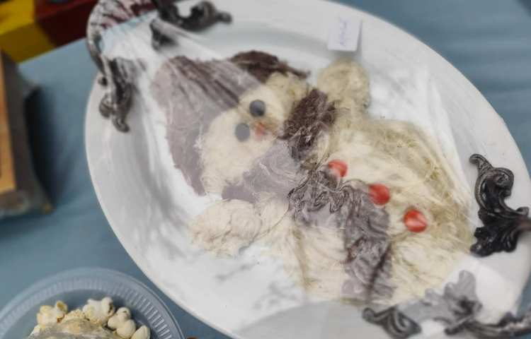 جشنواره میانه زمستان 7