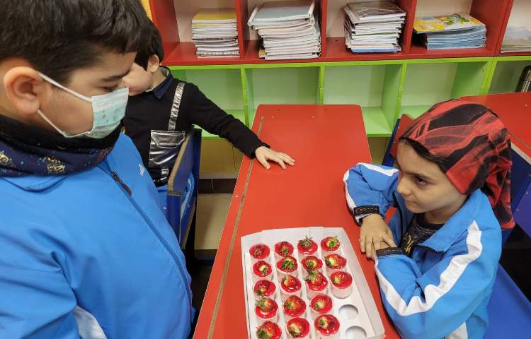 :جشن اسم آراد، کلاس انگور 6