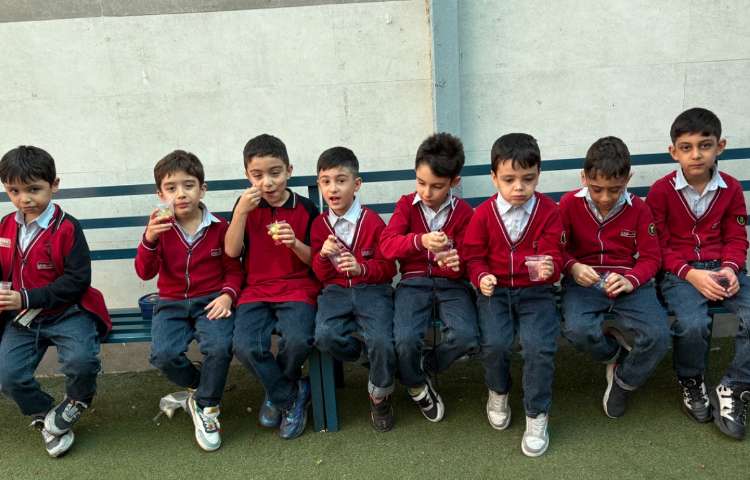 جشن انار و انگور 10