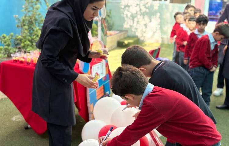 جشن انار و انگور 11