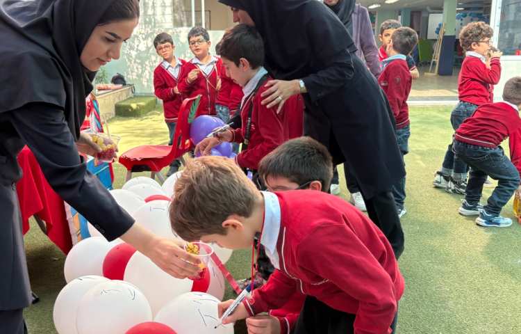 جشن انار و انگور 12