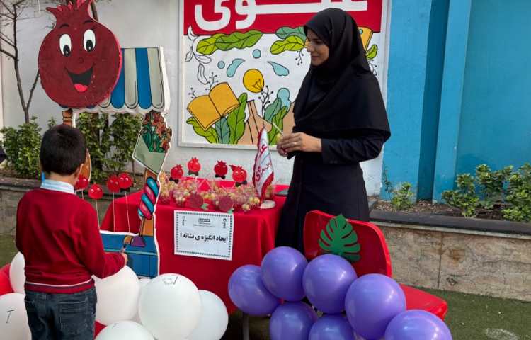 جشن انار و انگور 5