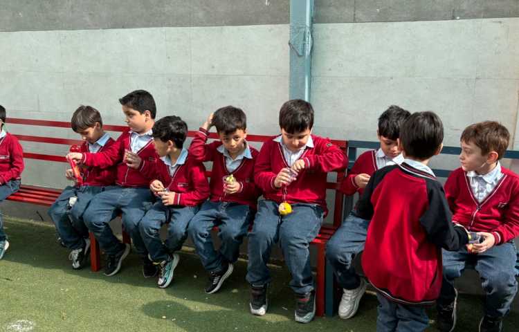 جشن انار و انگور 9