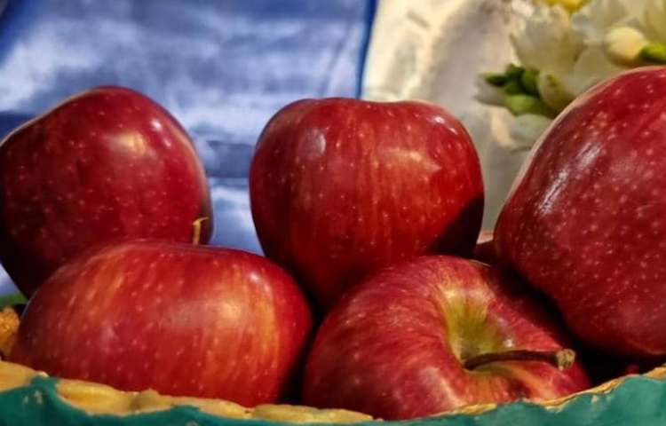 جشن بزرگ عید نوروز دبستان علوی شعبه غرب 4