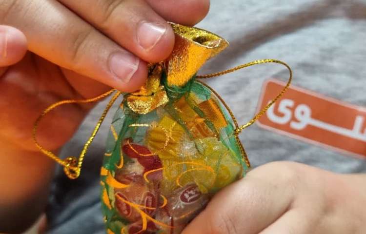 جشن بزرگ نیمه شعبان در دبستان علوی 27