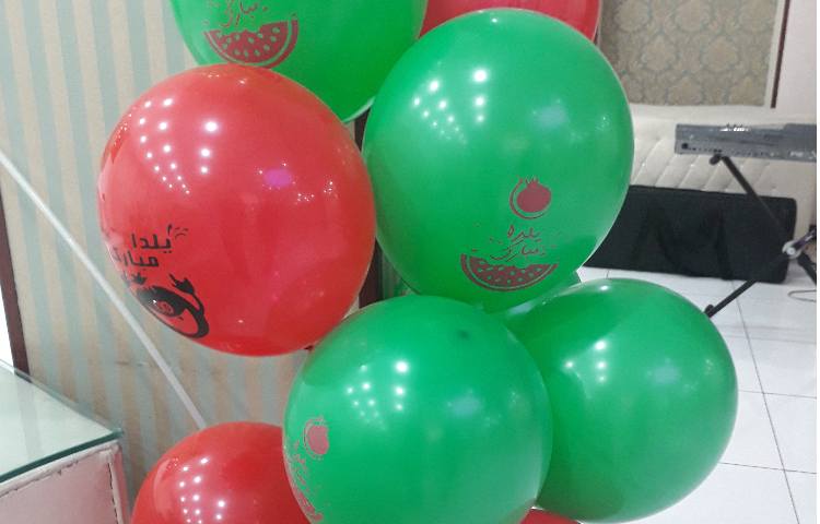 جشن بزرگ و میهج یلدا دبستان علوی 20