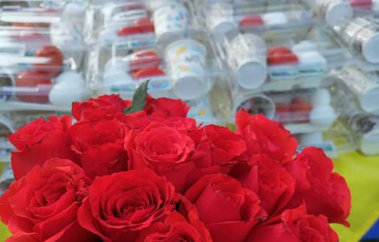 جشن خداحافظی دوم تا ششم دبستان علوی تهران 2