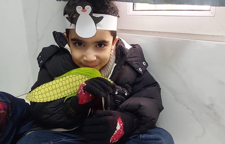 جشن دیگان 15