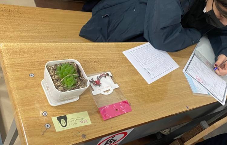 جشن شب یلدا 4