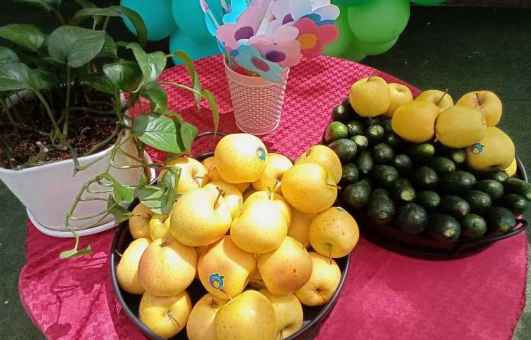 جشن فروردینگان 7