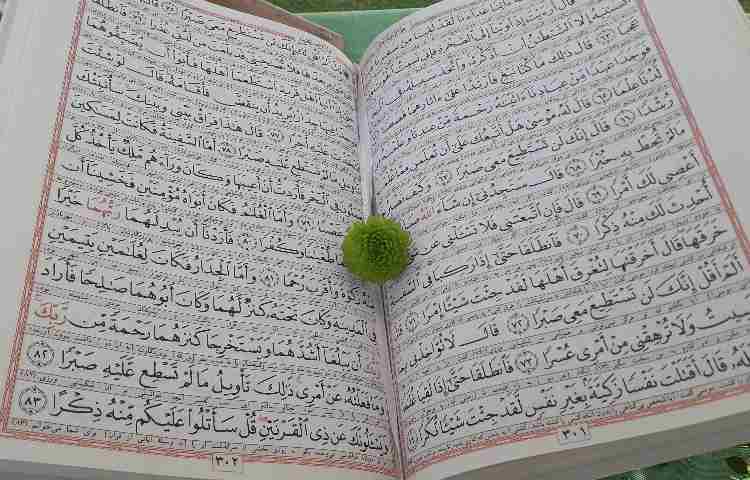 جشن قرآن دانش آموزان پایه اول 14