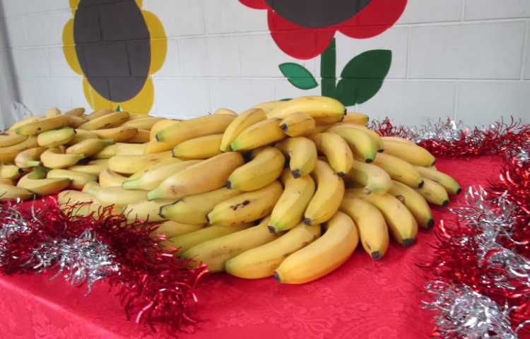 جشن مردادگان 5