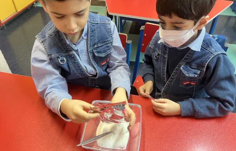 جشن میانه زمستان 3