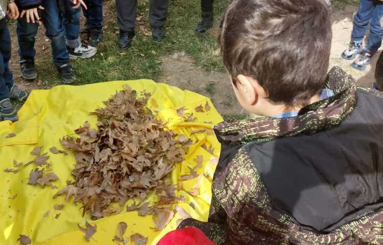 جشن میانه پاییز دانش آموزان پیش دبستان 15