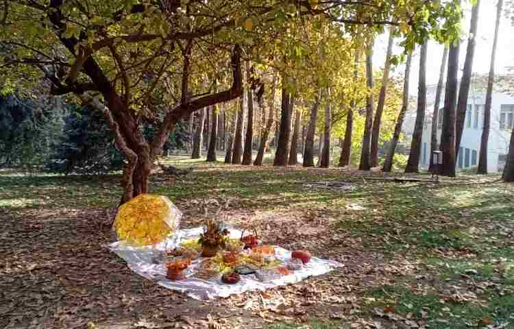 جشن میانه پاییز و بازدید از کاخ سعدآباد 5