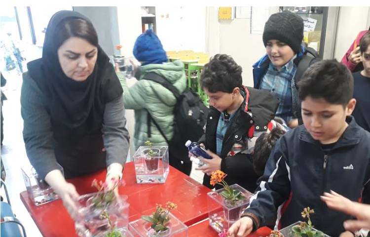 جشن نوروز و جشن پایان سال 5