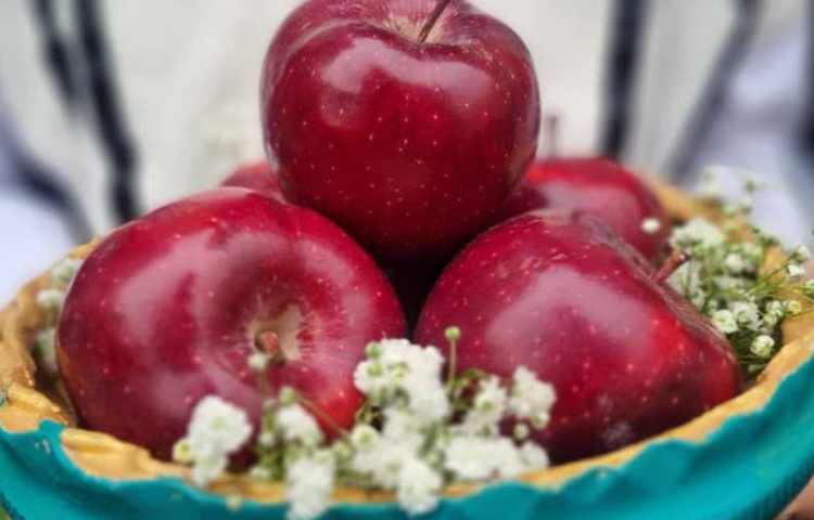 جشن نوروز 1403 5