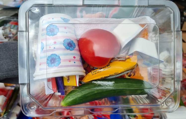 جشن یادگیری پایه دوم تا ششم دبستان علوی 10