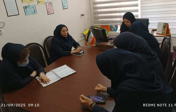 جلسات شورای هم پایه