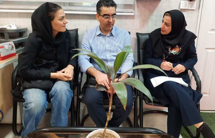 جلسات ملاقات فردی 5