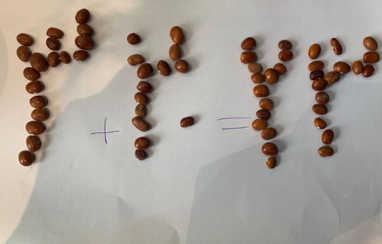 جمع و تفریق(دست ورزی) 2