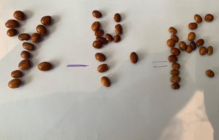 جمع و تفریق(دست ورزی) 4