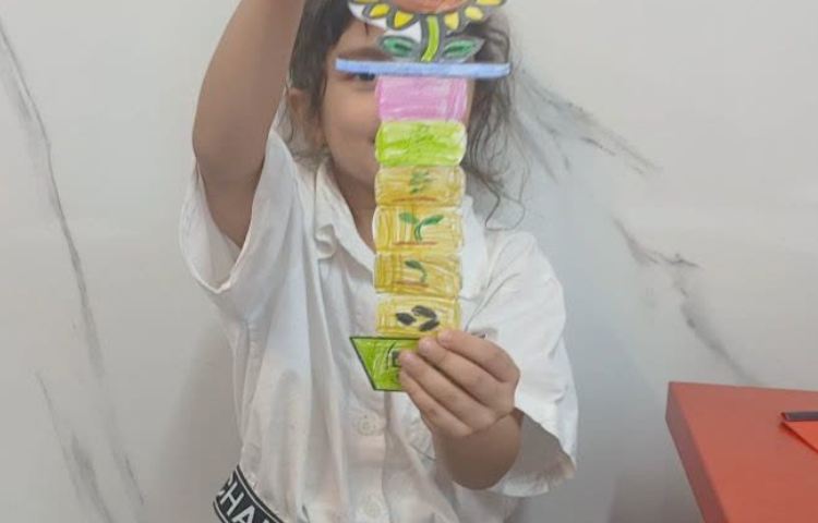 جهت ها 4