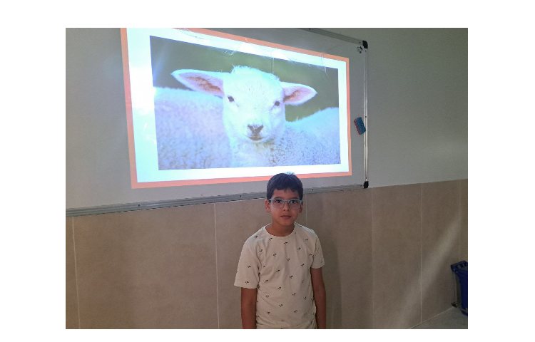 حدس تصویر روی برد 4