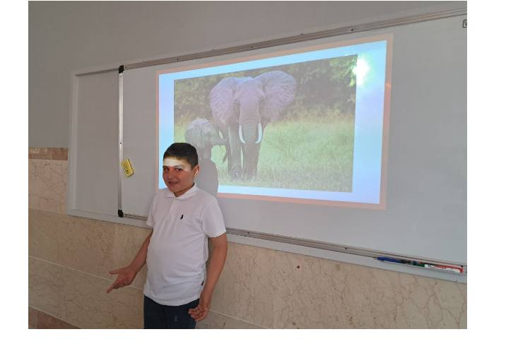 حدس تصویر روی برد 8