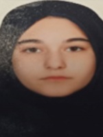 حدیث بروجردی