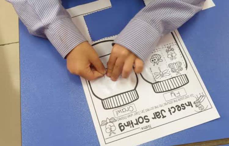 حشرات بالدار و حشرات خزنده 3