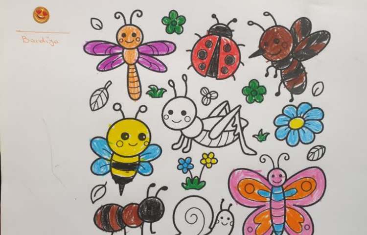 حشرات بالدار و حشرات خزنده 4