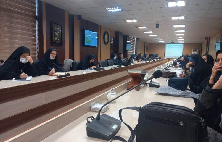 :حضور رابط پژوهشی دبستان پسرانه شرق علوی در جلسات پژوهشی اداره آموزش و پرورش 2