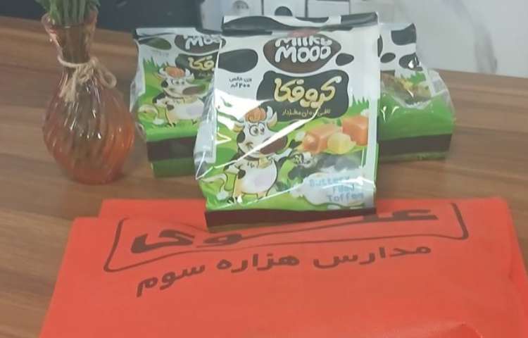 حضور مدیریت با همسایگان مدرسه 1