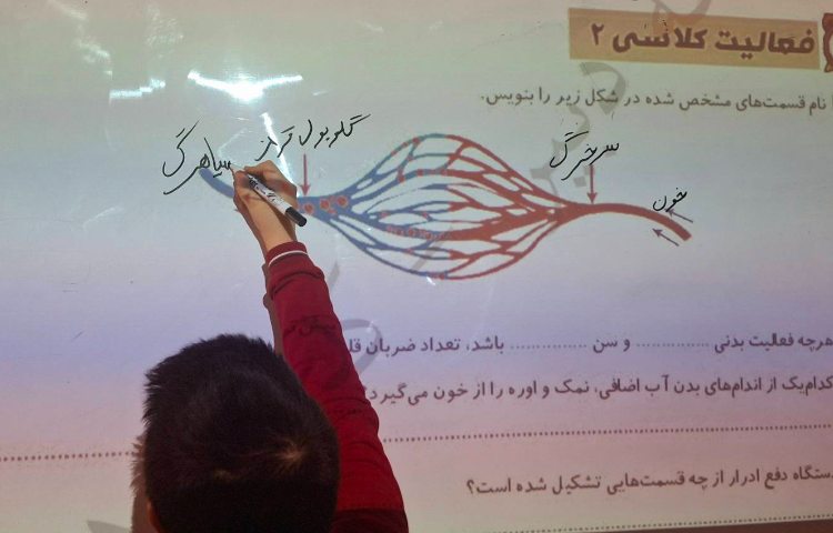 حل تمرین درس دهم کتاب کار علوم 3