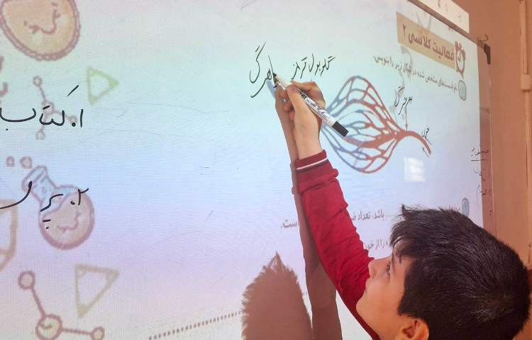 حل تمرین درس دهم کتاب کار علوم 4