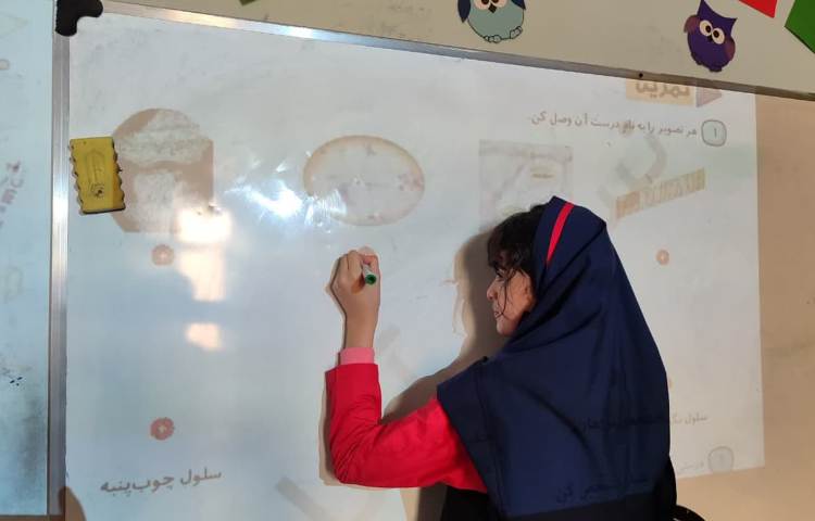 حل تمرین علوم