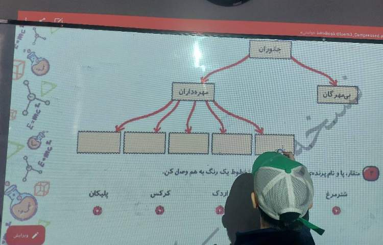 حل کتاب کار علوم علوی 1