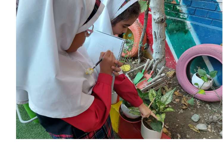 حواس پنجگانه 3