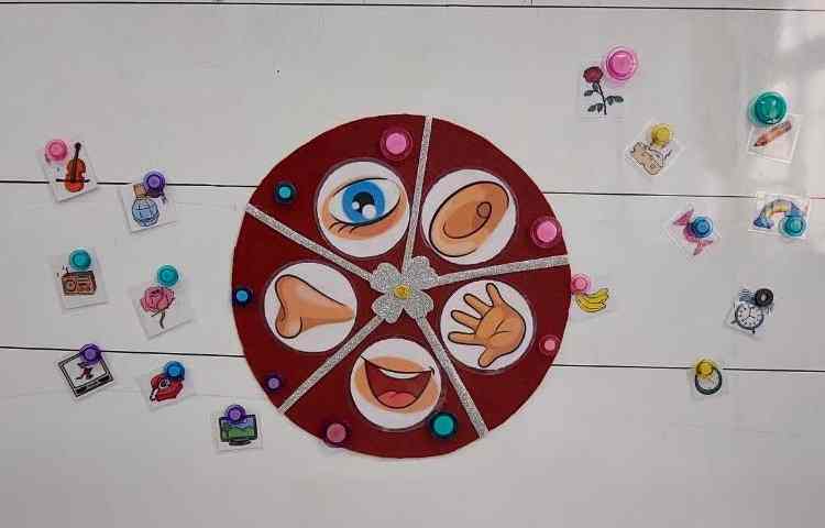 حواس پنج گانه 4