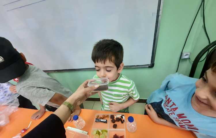 حواس پنج گانه 6