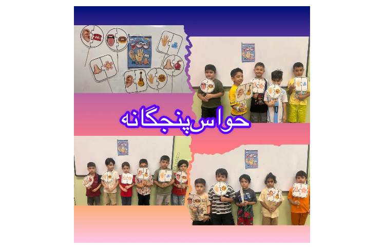 حواس پنج گانه